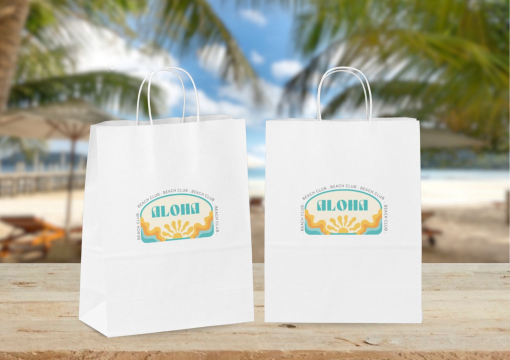 Sacs papier kraft avec anses rondes | PIT Packaging.ch/fr | Paysdesenveloppes