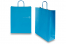 Tragetaschen aus Papier mit gedrehten Papierkordeln - blau, 320 x 120 x 410 mm, 100 Gramm | PIT Packaging.ch | Couvertsbestellen