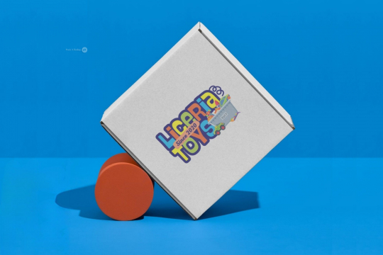 Boîte carton avec fermeture renforcée | PIT Packaging.ch/fr | Paysdesenveloppes