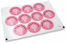 Kommunion-Verschlusssiegel - mi primera comunión rosa Kreuz | PIT Packaging.ch | Couvertsbestellen