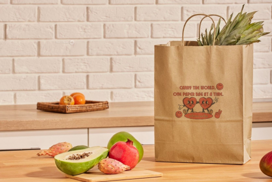 Sacs papier kraft avec anses rondes | PIT Packaging.ch/fr | Paysdesenveloppes