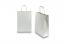 Tragetaschen aus Papier mit gedrehten Papierkordeln - silber, 220 x 100 x 310 mm, 90 Gramm | PIT Packaging.ch | Couvertsbestellen